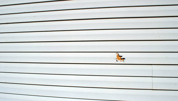 Upland, CA Siding Installation & Repair Company